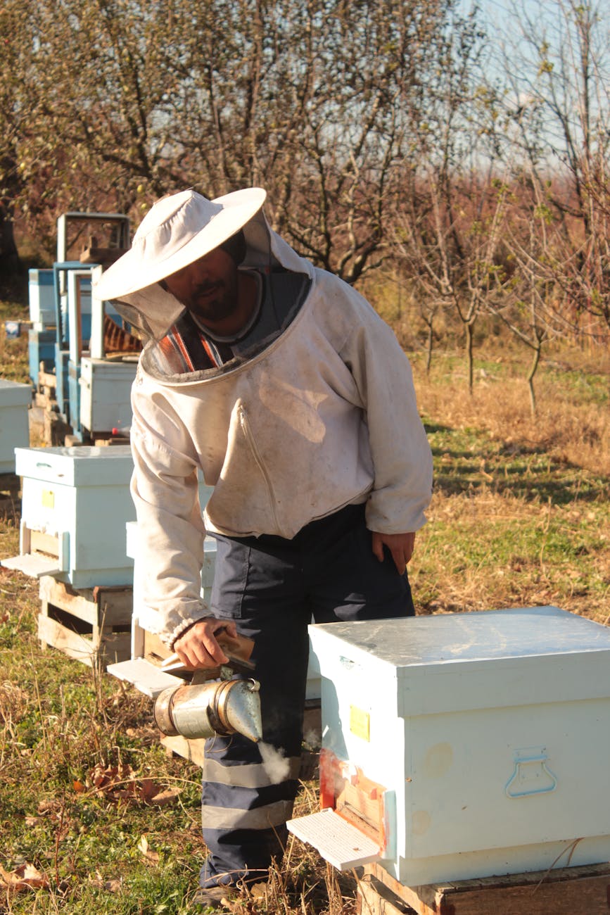 Imker mit Smoker am Bienenstand